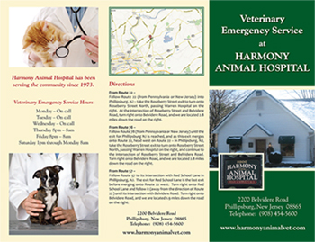Harmony Animal Hospital | Your Veterinarian In Phillipsburg, NJ