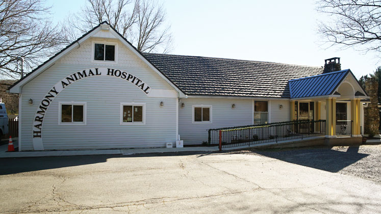 Virtual Office Tour | Veterinarian in Phillipsburg, NJ | Harmony Animal  Hospital